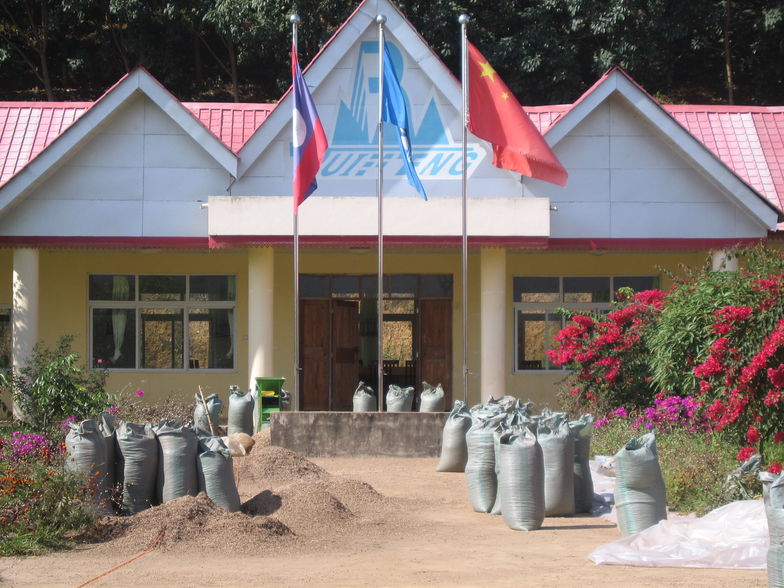 Flags in front building